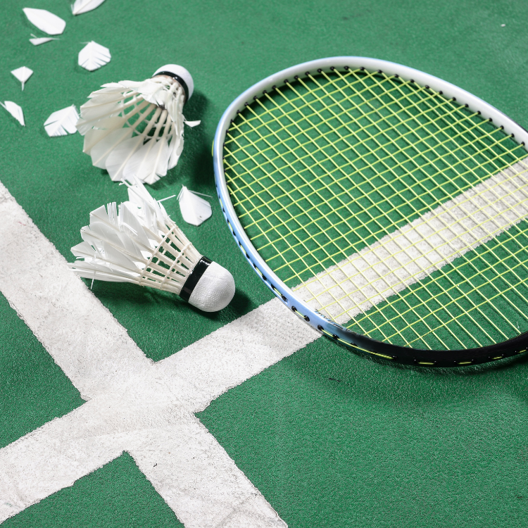 Peluang Bisnis Perlengkapan Badminton yang Menjanjikan